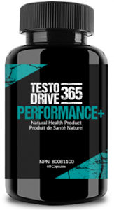 testo drive 365